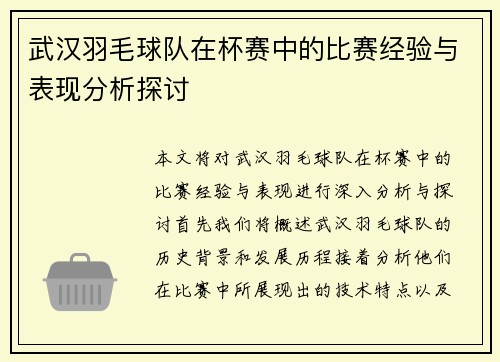 武汉羽毛球队在杯赛中的比赛经验与表现分析探讨