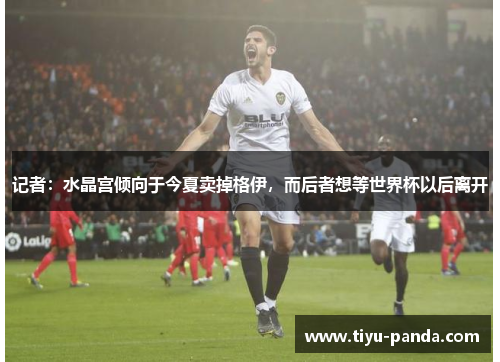 记者：水晶宫倾向于今夏卖掉格伊，而后者想等世界杯以后离开