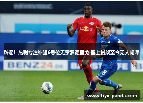 辟谣！热刺专注补强6号位无意罗德里戈 摆上货架至今无人问津